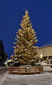 Weihnachtsbaum
